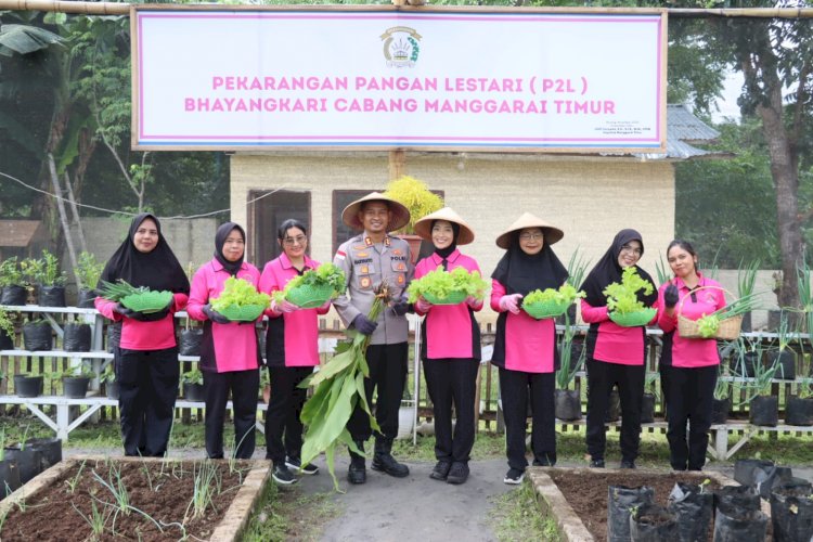 Dukung Ketahanan Pangan Nasional, Bhayangkari Cabang Manggarai Timur Panen Hasil Kebun P2L